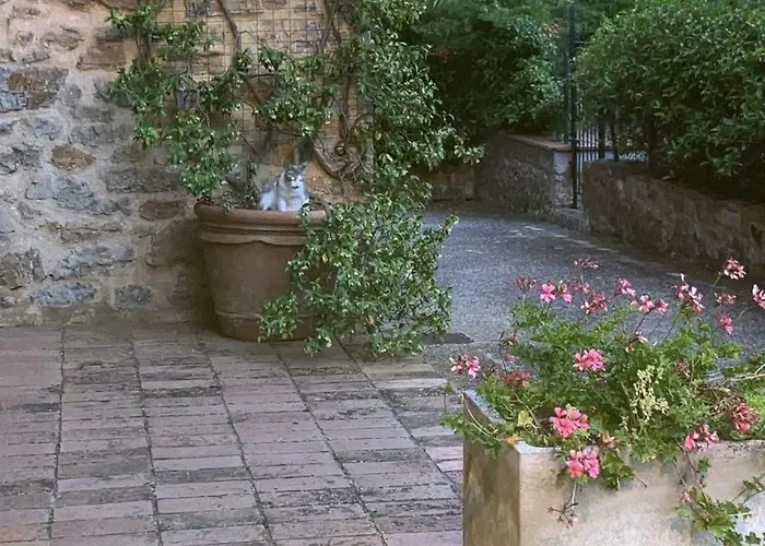 Giuma Tuscany Historic With Patio Near Saturnia Hot Springs *