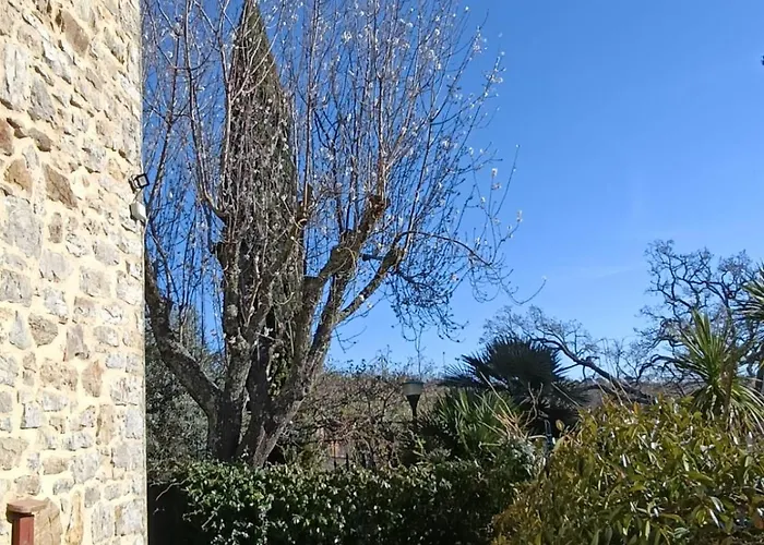 Giuma Tuscany Historic With Patio Near Saturnia Hot Springs * Montemerano