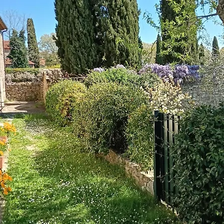 Giuma Tuscany Historic With Patio Near Saturnia 公寓 *